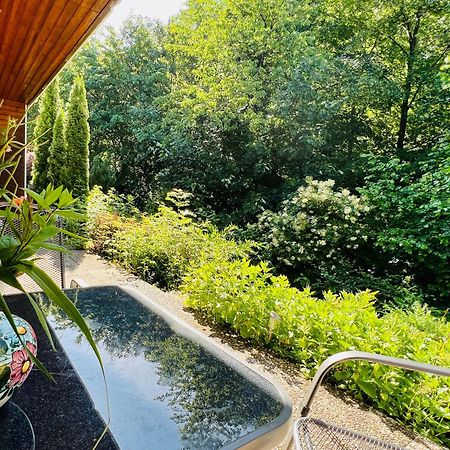 Vor Lauter Baeumen B&B Zorge Kültér fotó