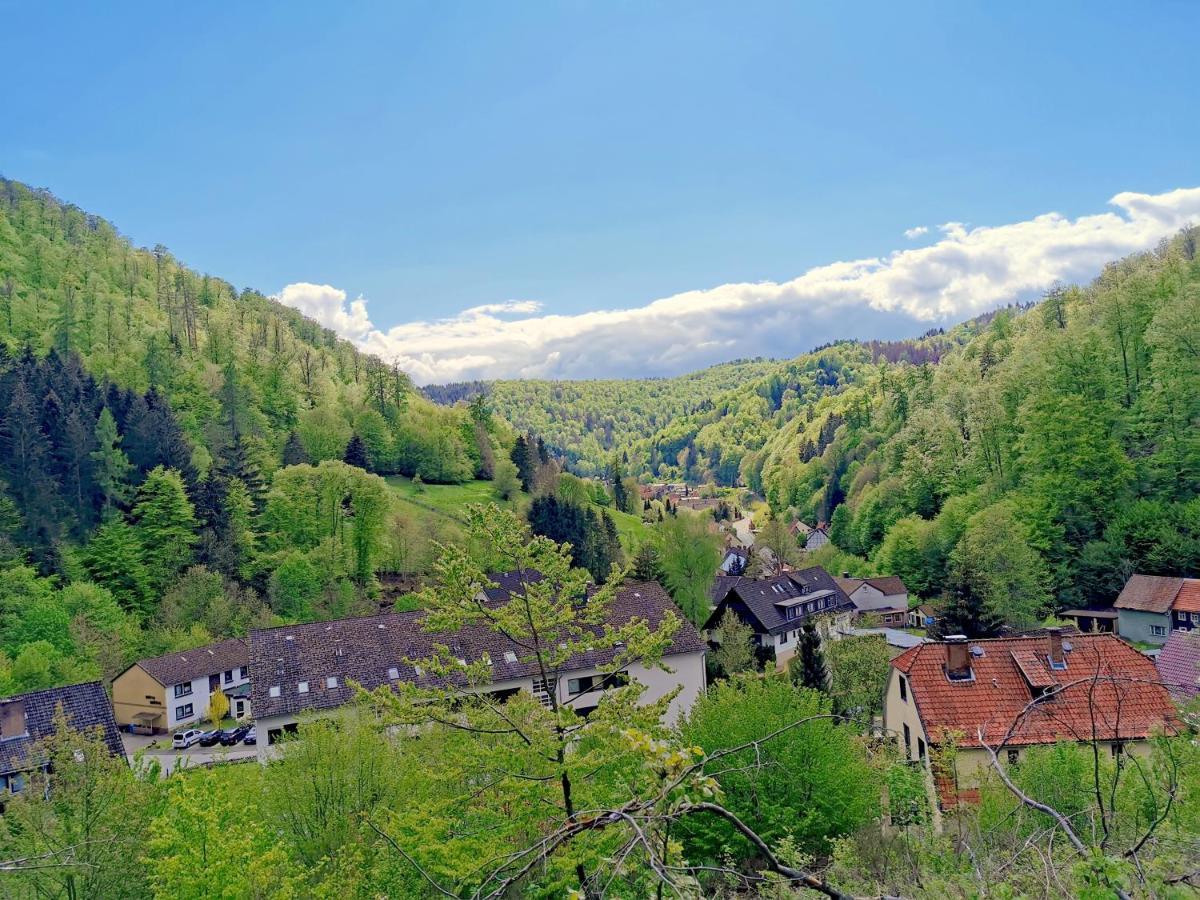 Vor Lauter Baeumen B&B Zorge Kültér fotó