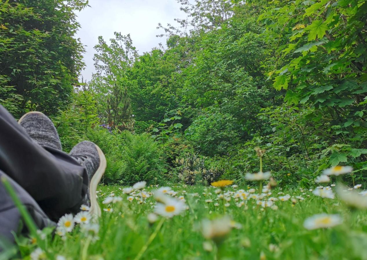 Vor Lauter Baeumen B&B Zorge Kültér fotó
