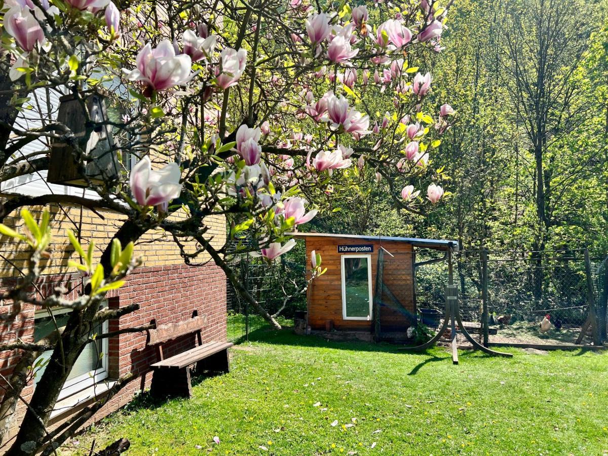Vor Lauter Baeumen B&B Zorge Kültér fotó