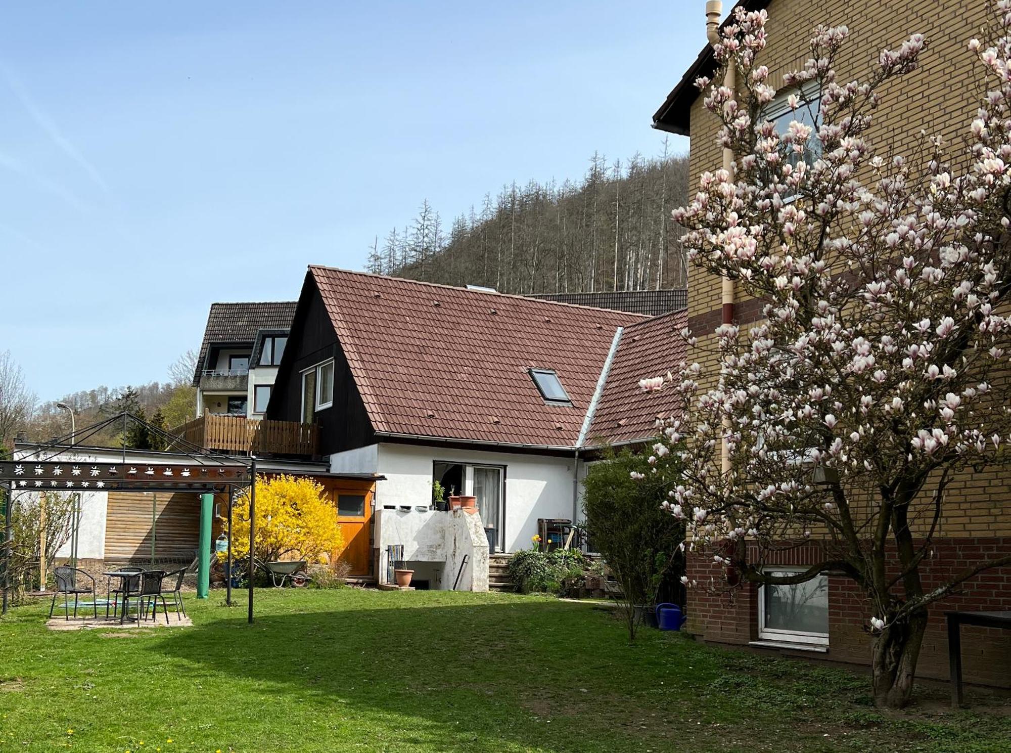 Vor Lauter Baeumen B&B Zorge Kültér fotó