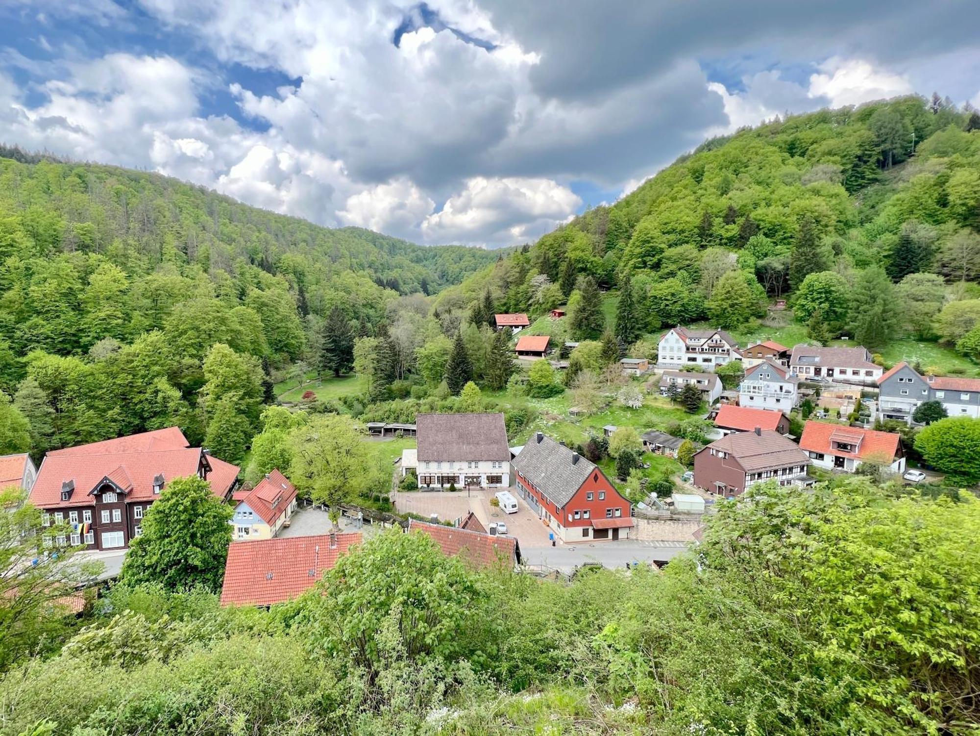 Vor Lauter Baeumen B&B Zorge Kültér fotó