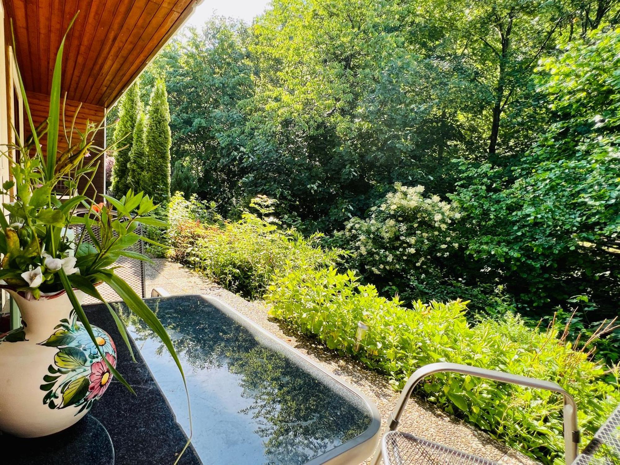 Vor Lauter Baeumen B&B Zorge Kültér fotó