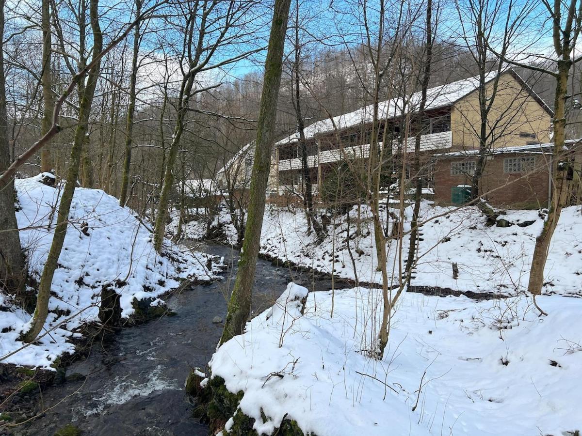 Vor Lauter Baeumen B&B Zorge Kültér fotó