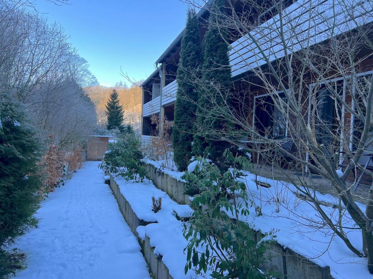 Vor Lauter Baeumen B&B Zorge Kültér fotó